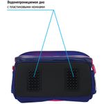 Ранец Berlingo Expert Akita boy 37х28х16см, 2 отд., с анатомической спинкой