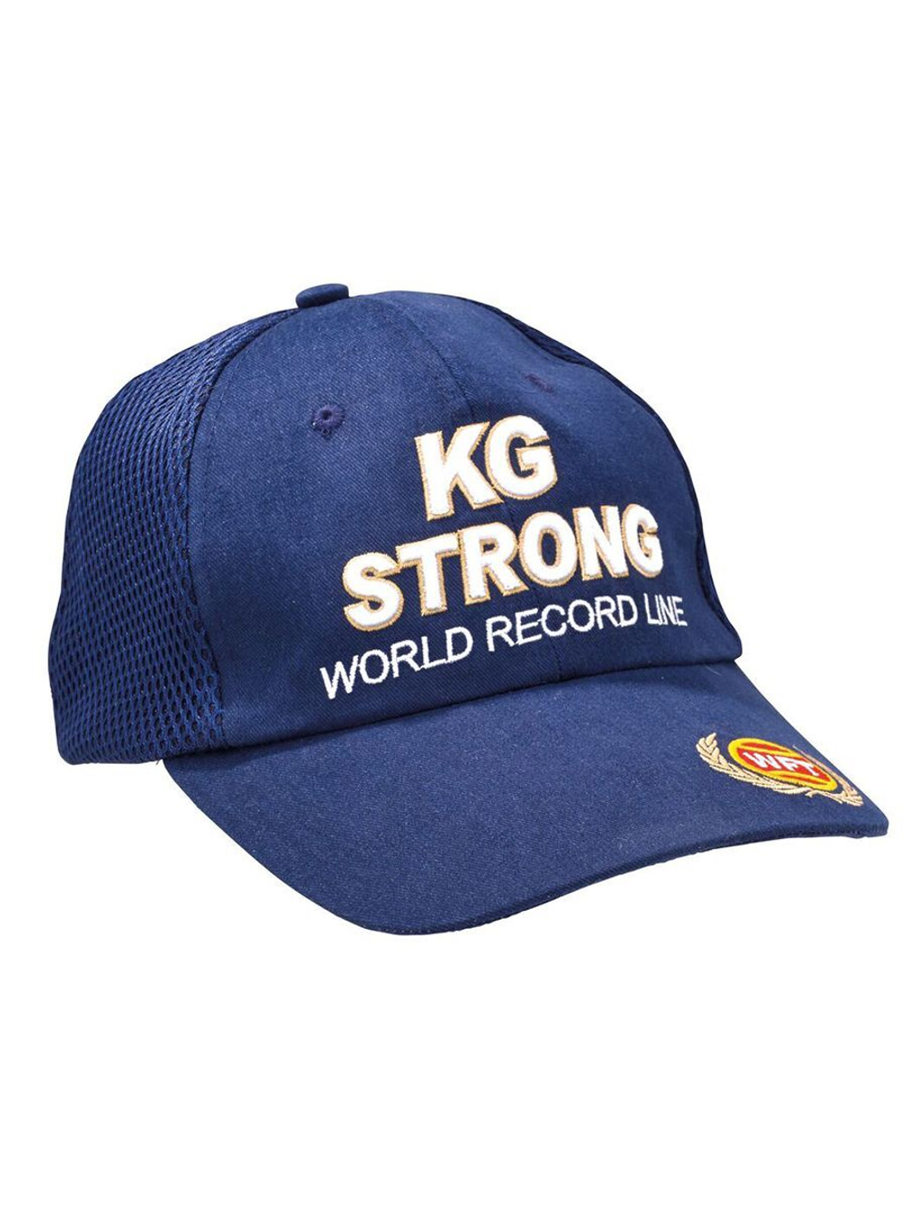Бейсболка WFT KG STRONG Blue