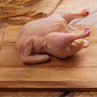 Цыплята тапака