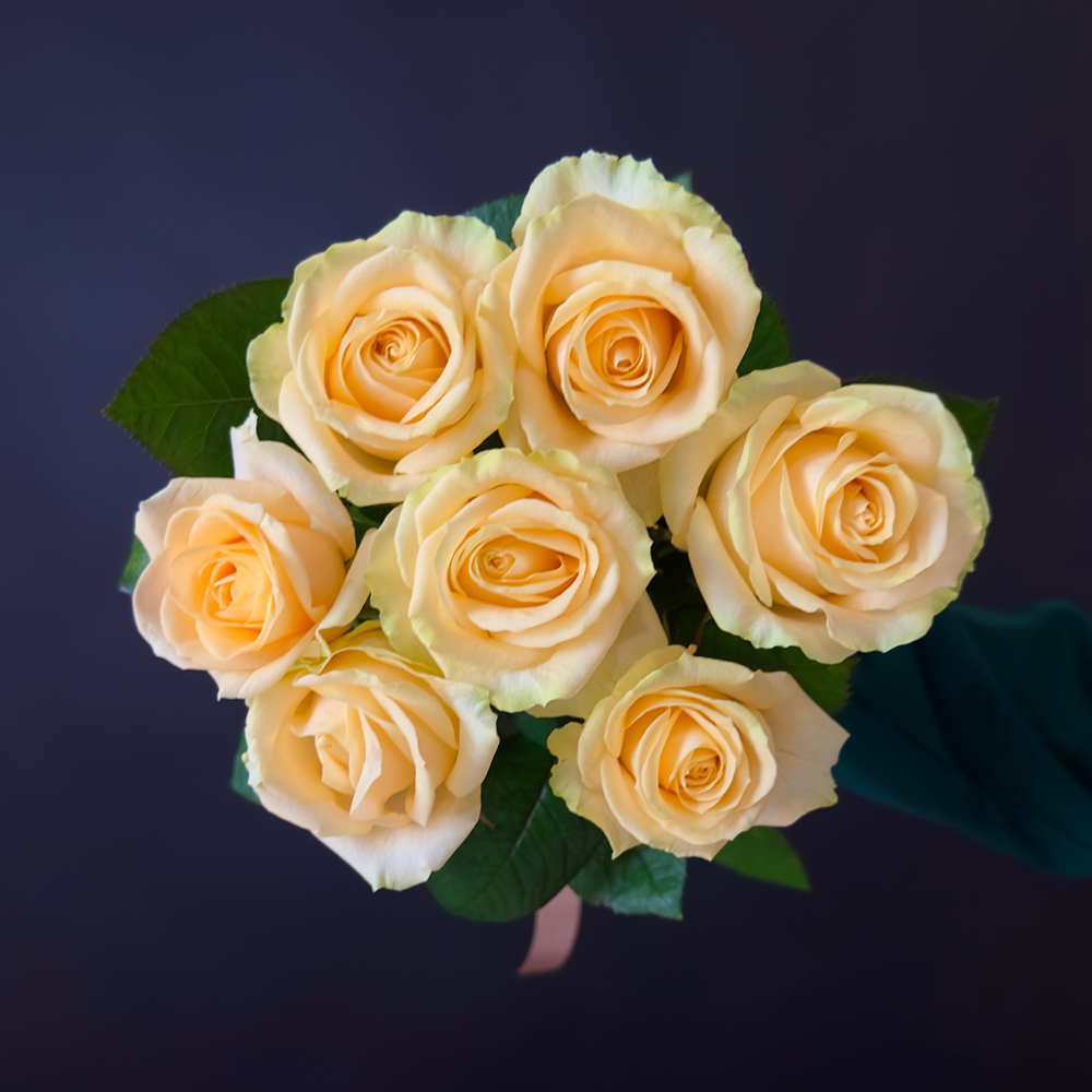 Flower bouquet of 7 Russian creamy roses