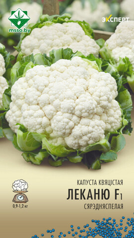 Капуста цветная "Леканю F1" 12шт, Нидерланды.