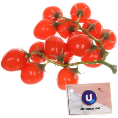 Муляж «Ветка помидоры Черри красные» 22см