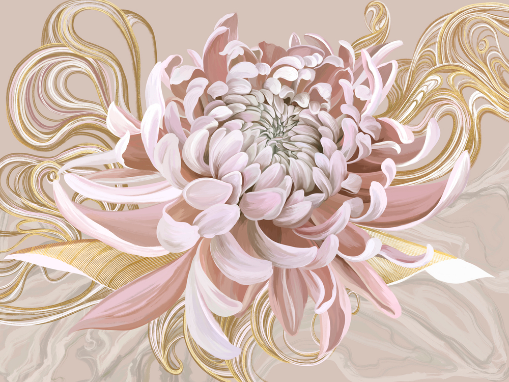 Коллекция SOLO 22