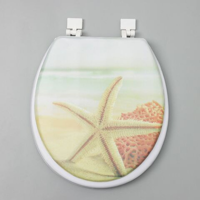 Мягкое сиденье для унитаза с крышкой «Пляж со звездой» (Цвет: не задано)