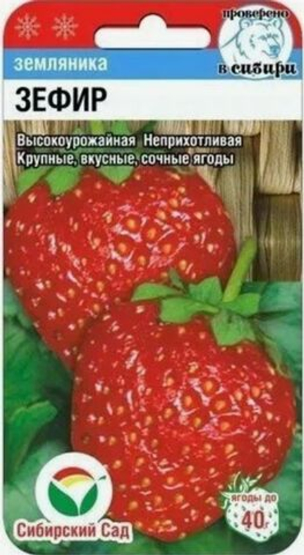 Клубника Зефир крупн не ремонт