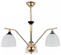 Подвесная люстра Escada Actinidia 2123/3P