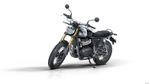 Royal Enfield Bear 650 Golden Shadow (Mid)