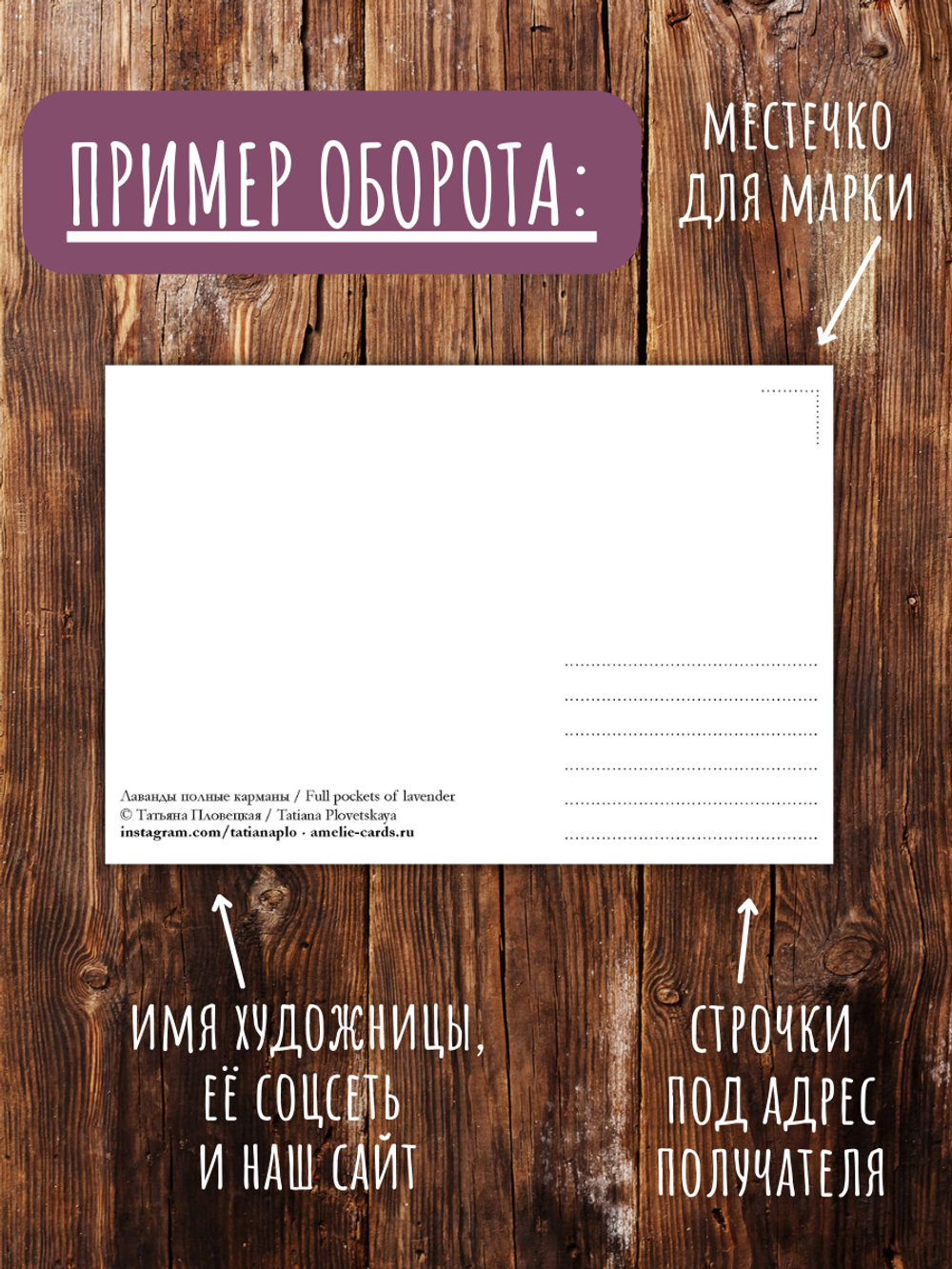 Весёлые еноты Татьяны Пловецкой. 10 открыток