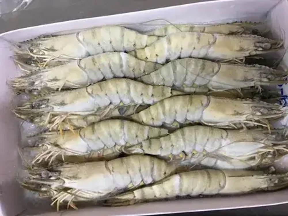 Тигровые креветки HOSO