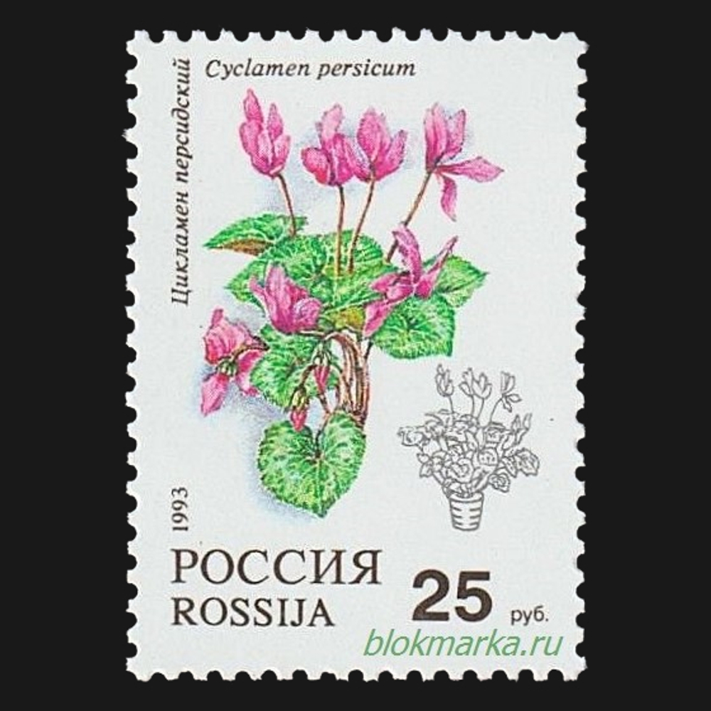 Россия 1993 г № 77-81 Серия Флора Комнатные растения Чистая MNH **