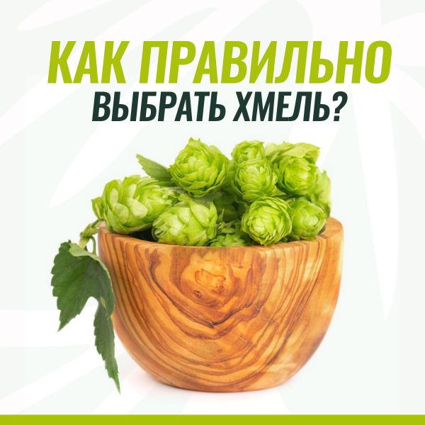 Как выбрать хмель?