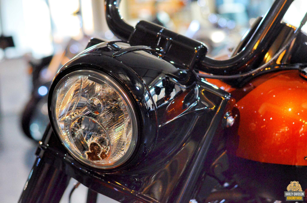 Harley-Davidson® Road King Special®