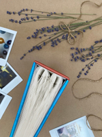 Фотоальбом на 100 фото 10х15 см, пластик. листы VVG style ВВГ 2