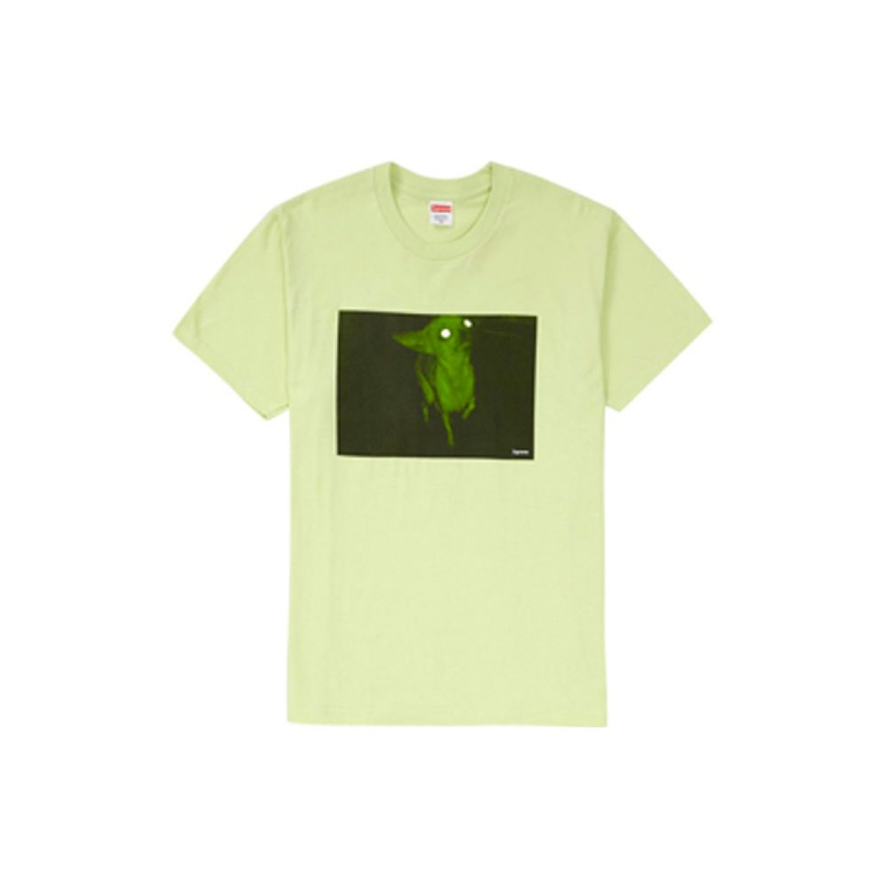 Supreme FW18 Chris Cunningham Chihuahua Tee Pale Mint T