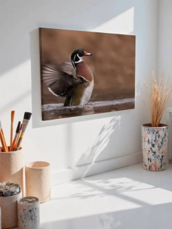 Картина на стену 40 X 50 Утка