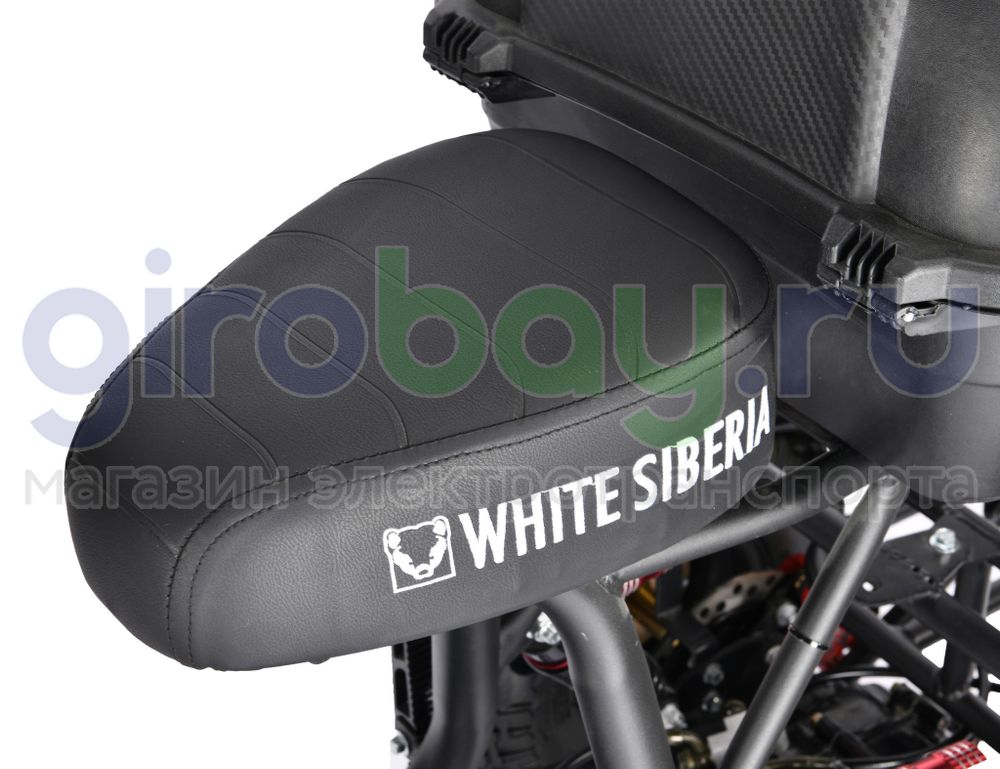 Электроскутер WHITE SIBERIA TRIKE MINI 1500W - Красный фото 13 фото №15
