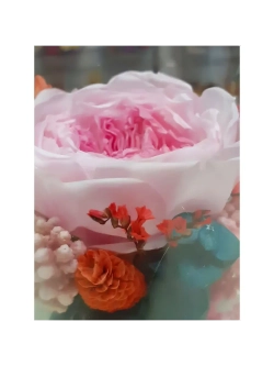 натуральный пион в стекле, вакуум*