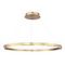 Подвесной светильник ST LUCE SL6238.343.01