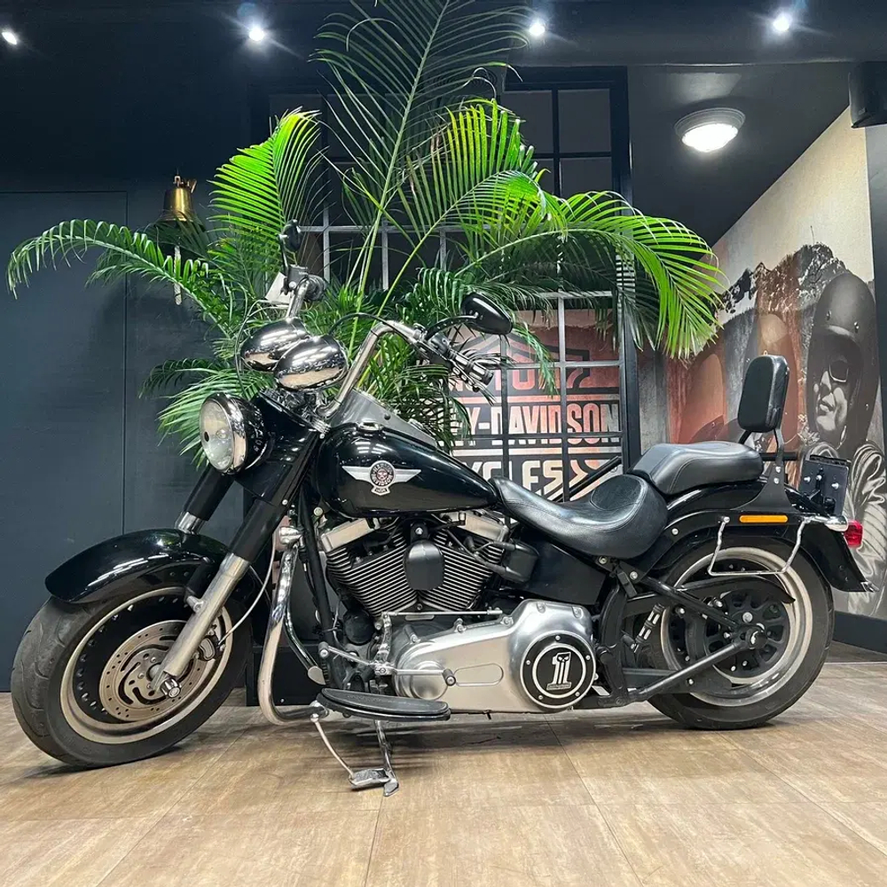 Harley-Davidson Fat Boy, 2010