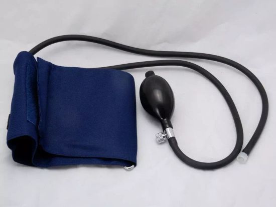 Цифровая лаборатория по физиологии