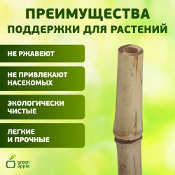 GBS-8-90 GREEN APPLE Поддержка бамбуковая 90см o 8мм набор 5шт