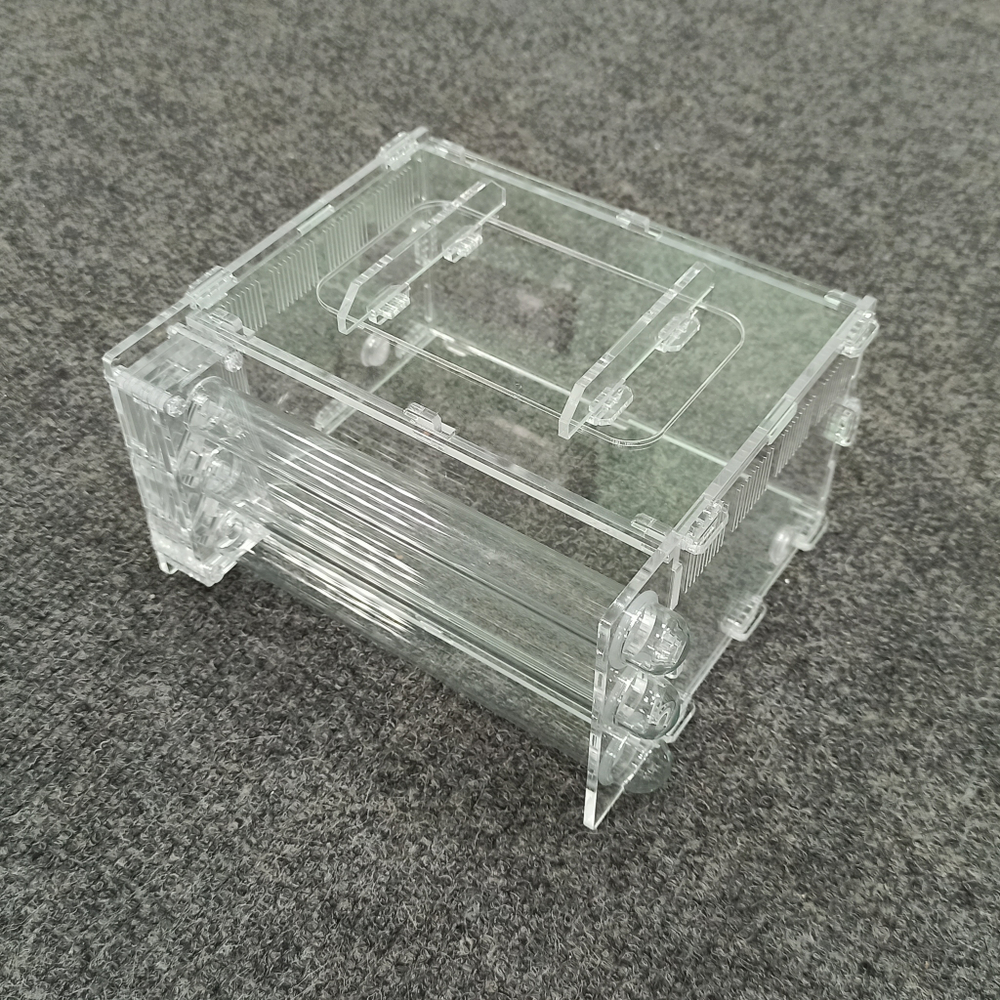 Пробирочная муравьиная ферма