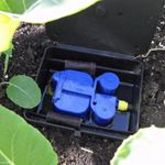 AQUAbox Straight