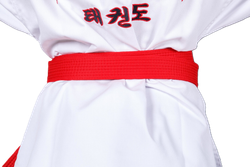 Пояс для тхэквондо ProfSport без вышивки (4 см) красный