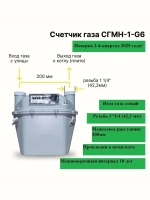 Счетчик газовый СГМН-1 G6 (2 квартал 2025г.,вход газа левый --&gt;, 200мм, резьба 1 1/4", ПРОКЛАДКИ В КОМПЛЕКТЕ)