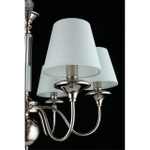 Подвесная люстра Aployt Perla APL.731.03.06