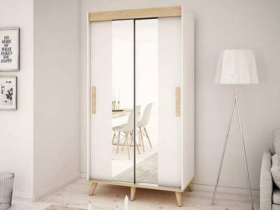 Шкаф-купе Руна  двухстворчатый FP41  120*50*260