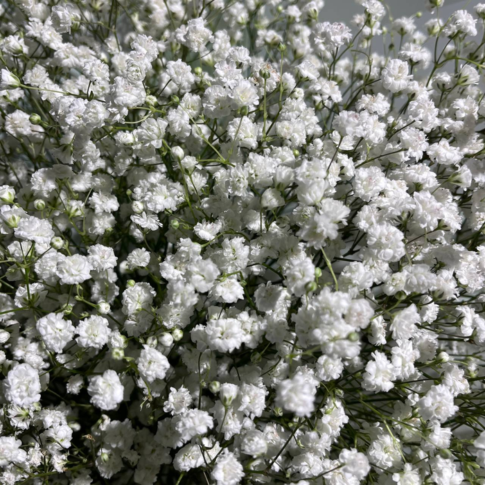 Букет "Белая мечта"