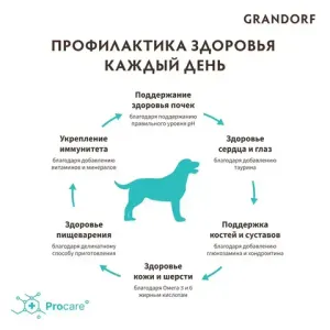 Уценка! Повр.упак./ Сухой корм Grandorf DOG Lamb&Turkey MED&MAXI для собак взрослых средних и крупных пород, ягнёнок с индейкой