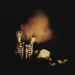 Pearl Jam / Riot Act (2LP)