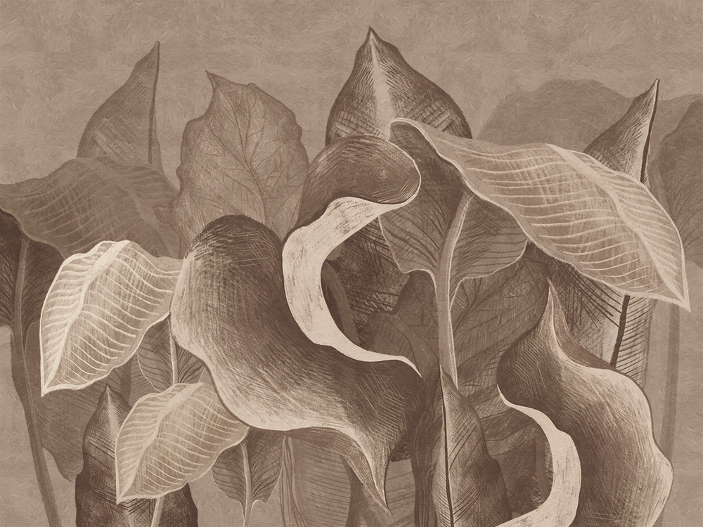 Коллекция SUMMERTIME