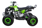 Квадроцикл YACOTA Renegade