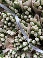 Охапка тюльпаны классика - белый цвет 25 шт