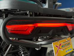 Квадроцикл PROMAX TAURUS 300 MAX-PRO LONG