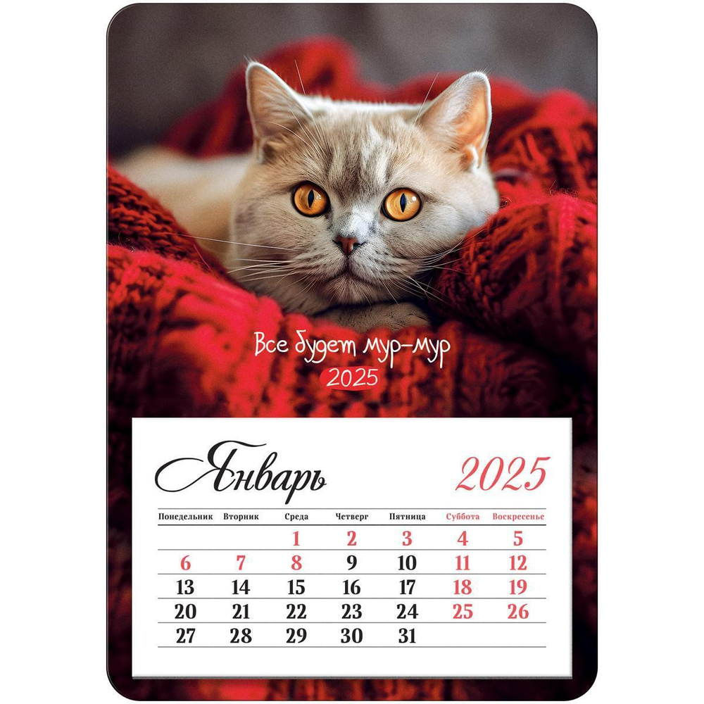 Календарь отрывной на магните 95*135мм 2025г. "Мур-мур" (BG)