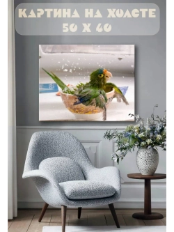 Картина на стену 40 X 50 Попугай
