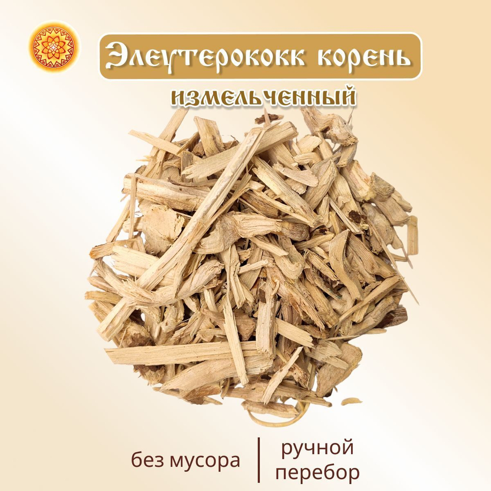 Элитеурококк корень щепа.