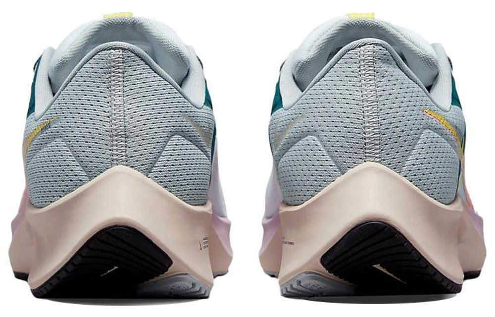 Кроссовки Nike Pegasus 38 Zoom Prm (Женская размерная сетка)
