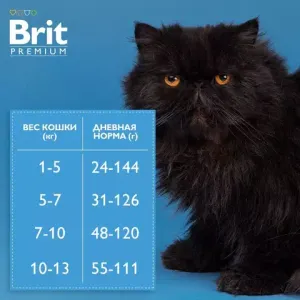 Сухой корм Brit Premium Cat Kitten с курицей и лососем для котят