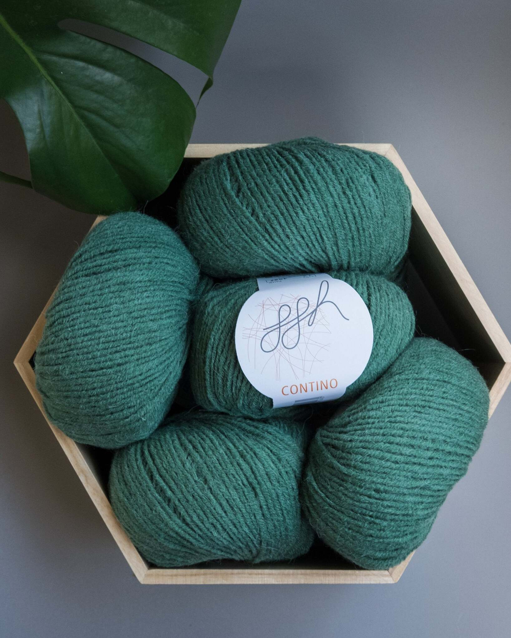 -60% Contino 5x50g | 12 Sea green