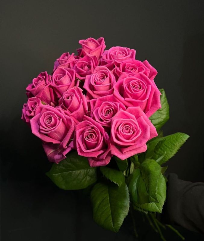 Букет из 15 голландских роз 70 см ( цвет роз на выбор ) #3049