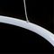 Подвесной светодиодный светильник Arte Lamp Frodo A2197SP-2WH