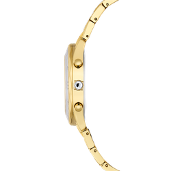 DEXTERA:MB PGO/SIL/PGO