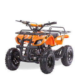 Квадроцикл MOTAX ATV Mini Grizlik X-16 Big Wheel (м/с)