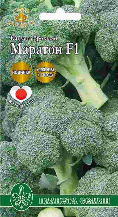 Капуста брокколи Маратон F1