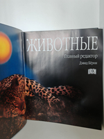 Животные. Большая иллюстрированная энциклопедия животных всего мира